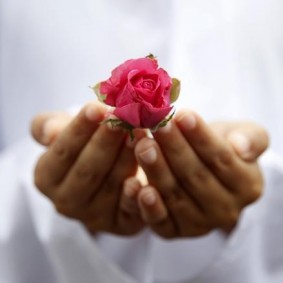 sujitha organisation